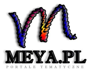 Portale tematyczne